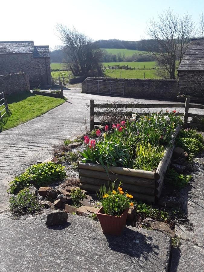 Sharlands Farm Bed And Breakfast Bude Exterior foto